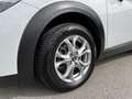 Mazda CX-3 CD105 Attraction Blanc - thumbnail 30