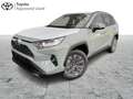 Toyota RAV 4 2.5 Hybrid 2WD Dynamic Plus Grün - thumbnail 1
