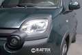 Fiat Panda Pandina 1.0 firefly hybrid 70CV Cross Vert - thumbnail 3