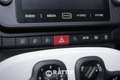 Fiat Panda Pandina 1.0 firefly hybrid 70CV Cross Vert - thumbnail 29