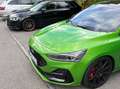 Ford Focus Focus 2,3 EcoBoost ST X Edition ST X Edition Grün - thumbnail 1
