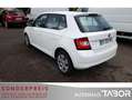Skoda Fabia 1.4l TDI Ambition Klima GRA ISOFIX BC - thumbnail 3