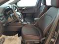 Ford Kuga 2.5 Full Hybrid 180 CV CVT 2WD ST-Line Gris - thumbnail 7