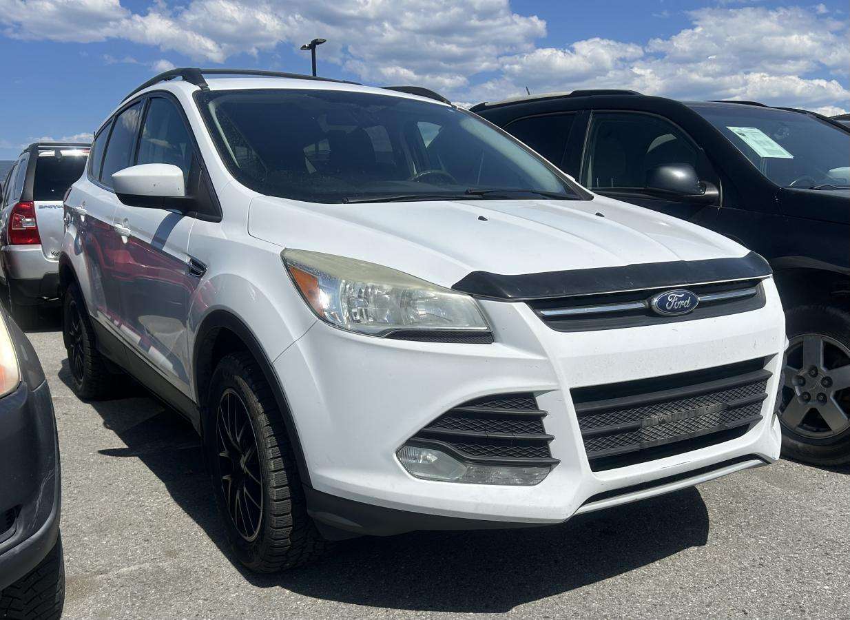 White 2013 Ford Escape SUV / Crossover All-Wheel Drive Automatic