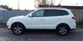 Hyundai SANTA FE 2.2 CRDi 4WD Automatik Comfort TÜV 08/2027 Weiß - thumbnail 5
