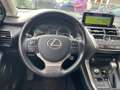 Lexus NX 300h Hybrid 4WD Business Iva Esposta Grigio - thumbnail 14