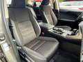 Lexus NX 300h Hybrid 4WD Business Iva Esposta Grigio - thumbnail 6