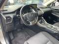Lexus NX 300h Hybrid 4WD Business Iva Esposta Grigio - thumbnail 13