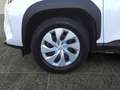 Toyota Yaris Cross - 1.5 l 4x2 Hybrid  Business GJR, LED Blanco - thumbnail 15
