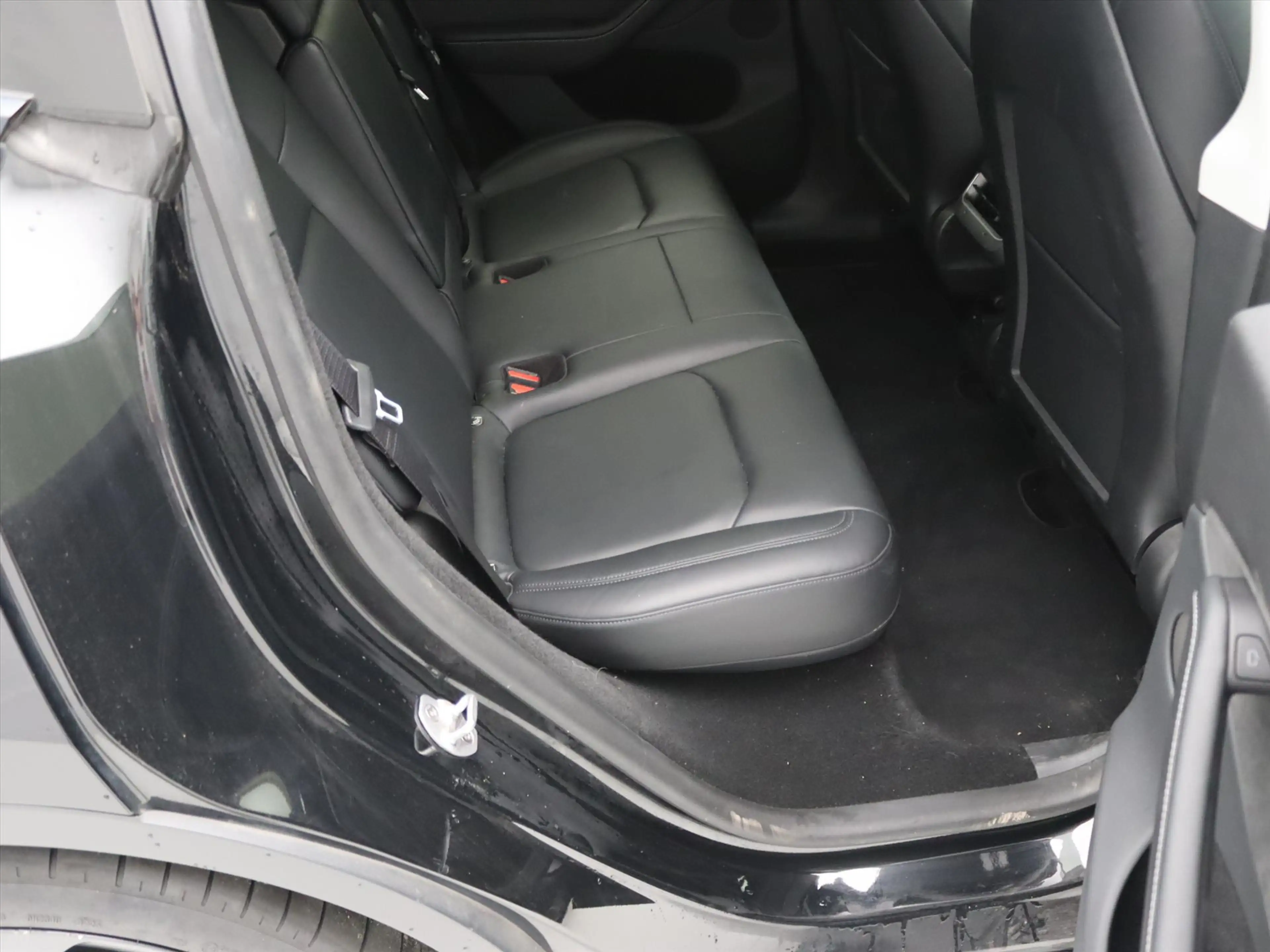 Tesla Model Y Performance 534pk AWD [ TREKHAAK+AUTOPILOT+21 INCH — photo 13