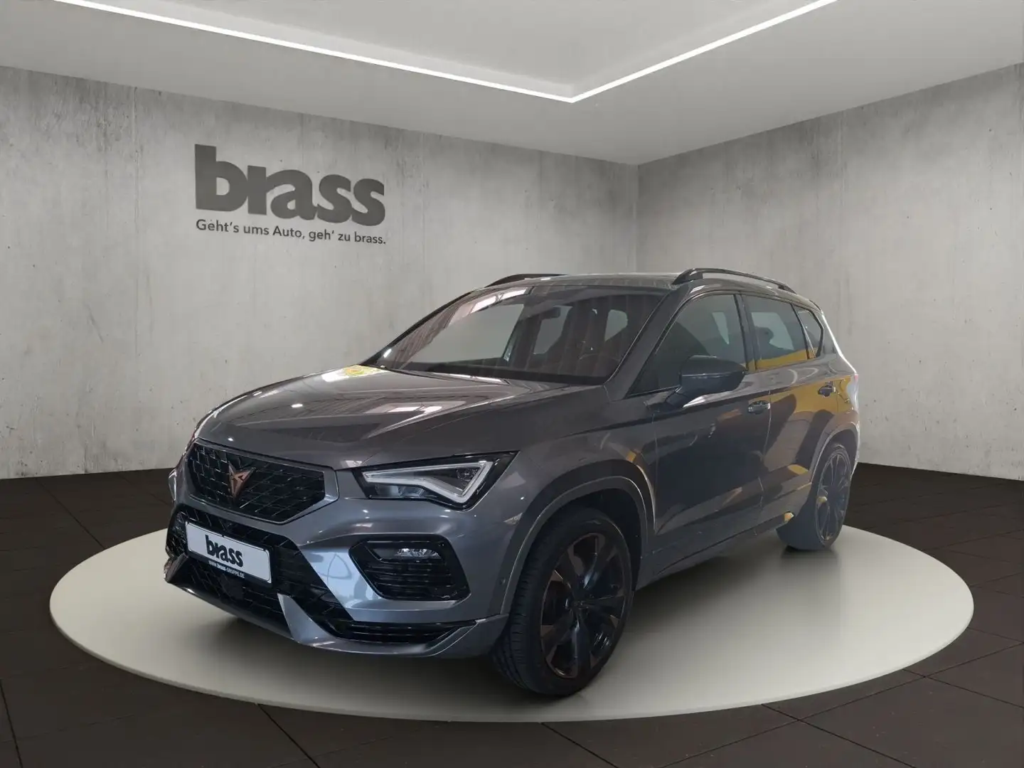 SEAT Ateca Cupra Ateca Grau - 1