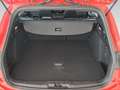 Ford Focus Wagon 1.0 EcoBoost 125pk ST-Line Business LM velge Rouge - thumbnail 22