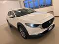 Mazda CX-30 2.0L Skyactiv-G M Hybrid 2WD Executive Bianco - thumbnail 11