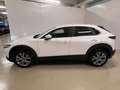 Mazda CX-30 2.0L Skyactiv-G M Hybrid 2WD Executive Bianco - thumbnail 8