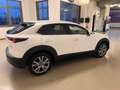 Mazda CX-30 2.0L Skyactiv-G M Hybrid 2WD Executive Bianco - thumbnail 9