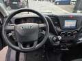 Iveco Daily Daily/Takelwagen/Oprijwagen/3.0L 170pk/32900 ExBTW Noir - thumbnail 14