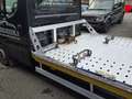 Iveco Daily Daily/Takelwagen/Oprijwagen/3.0L 170pk/32900 ExBTW Noir - thumbnail 9