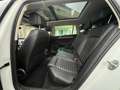 Volkswagen Passat Alltrack 2.0 TDI DSG 4Motion *VC*Panorama Weiß - thumbnail 12