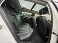 Volkswagen Passat Alltrack 2.0 TDI DSG 4Motion *VC*Panorama Weiß - thumbnail 14