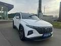 Hyundai TUCSON Tucson 1.6 CRDi MHEV Shine DCT - GARANTIE 08/2028 Weiß - thumbnail 2