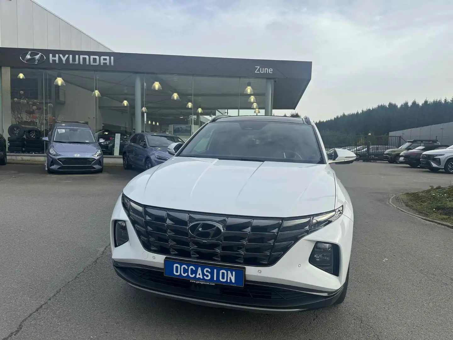 Hyundai TUCSON Tucson 1.6 CRDi MHEV Shine DCT - GARANTIE 08/2028 Weiß - 1