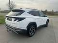 Hyundai TUCSON Tucson 1.6 CRDi MHEV Shine DCT - GARANTIE 08/2028 Weiß - thumbnail 3