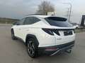 Hyundai TUCSON Tucson 1.6 CRDi MHEV Shine DCT - GARANTIE 08/2028 Weiß - thumbnail 5