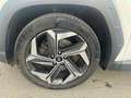 Hyundai TUCSON Tucson 1.6 CRDi MHEV Shine DCT - GARANTIE 08/2028 Weiß - thumbnail 10