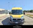 Fiat Ducato 35 2.3 MJT 130CV PM-TM Furgone 4x4 Gelb - thumbnail 3