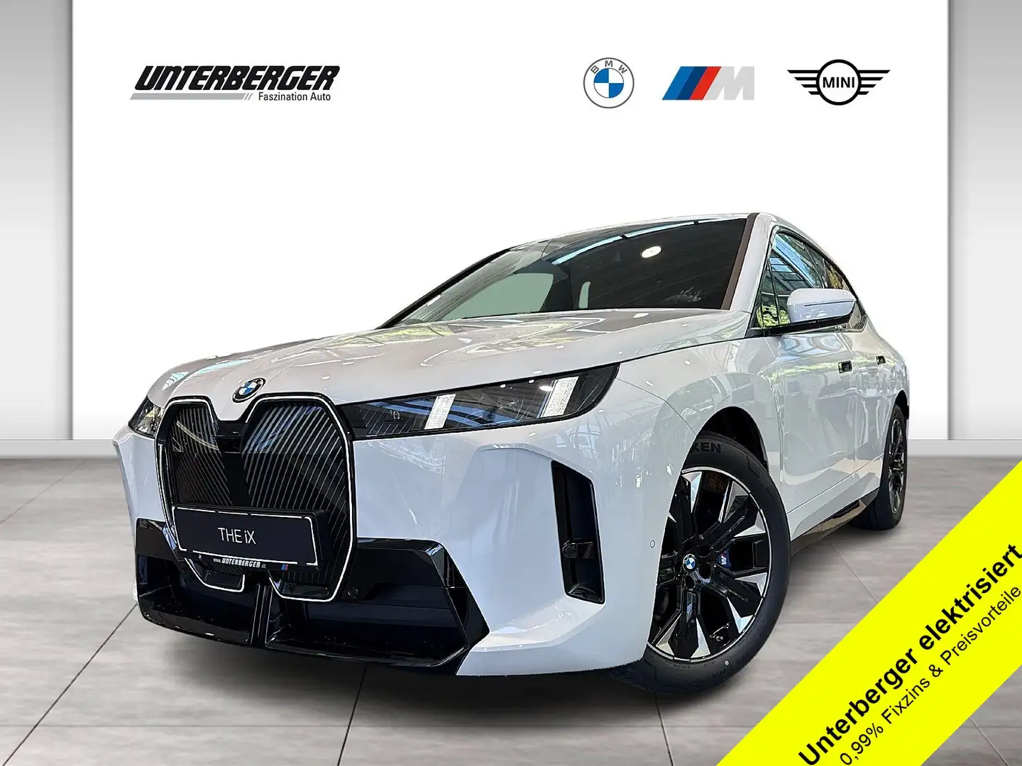 BMW iX xDrive45  M Sportpaket | Sonnenverglasung | Iconic Alb - 1