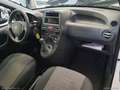 Fiat Panda 1.2 EasyPower Bianco - thumbnail 10
