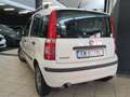 Fiat Panda 1.2 EasyPower Bianco - thumbnail 4