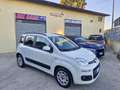 Fiat Panda Panda III 2016 1.3 mjt 16v Lounge s Bianco - thumbnail 2