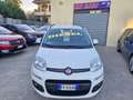 Fiat Panda Panda III 2016 1.3 mjt 16v Lounge s Bianco - thumbnail 3