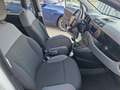 Fiat Panda Panda III 2016 1.3 mjt 16v Lounge s Bianco - thumbnail 10