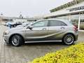 Mercedes-Benz A 200 AMG Final Edition, RFK, CarPlay, LED, EDW, PTS, SH Grau - thumbnail 3
