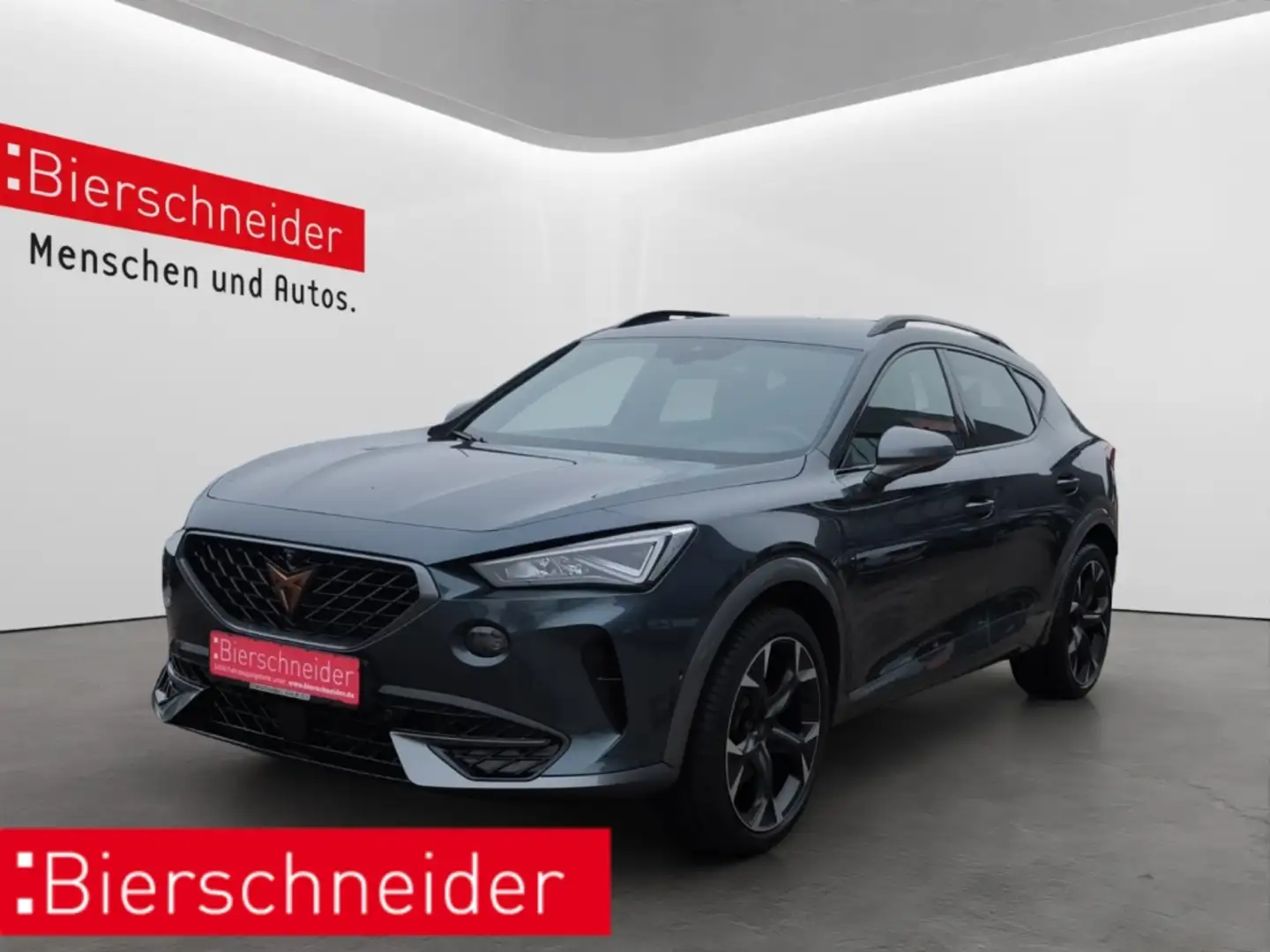 CUPRA Formentor 1.5 TSI DSG LED NAVI TOPVIEW DCC 19 EL.HECKKLAPPE Grau - 1