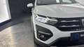 Dacia Sandero 1.0 ECO-G 100ch Stepway Confort - thumbnail 17