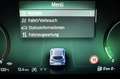 Ford Puma ST-Line 1.0 MHEV 360° Kamera 4,99% FIN Grigio - thumbnail 20