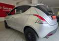 Lancia Ypsilon Ypsilon III 2011 1.3 mjt Elefantino s - thumbnail 2