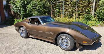 Stingray
