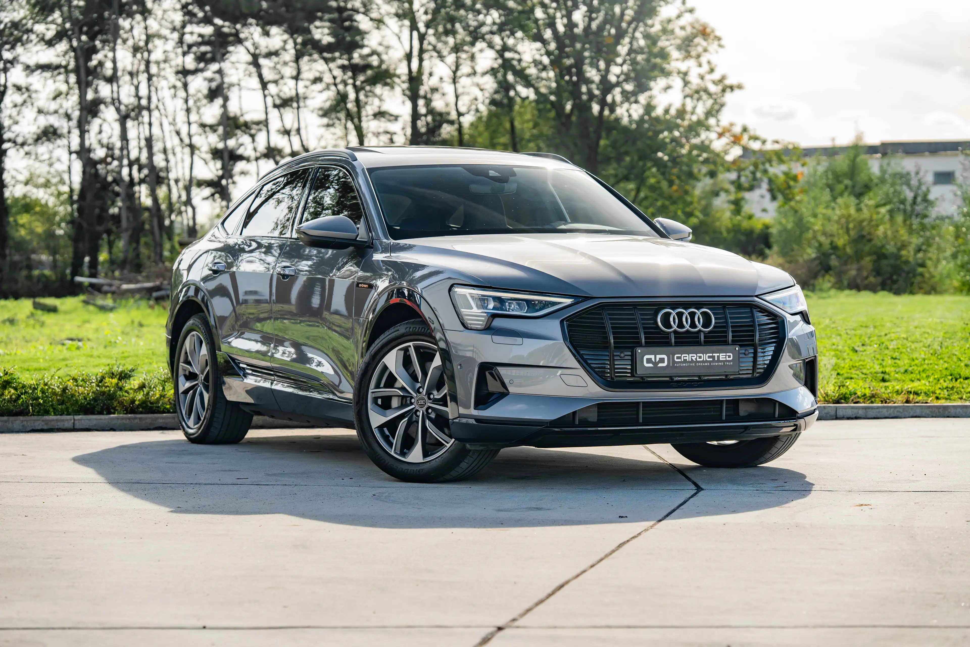 Audi e-tron E-TRON 55 SPORTBACK*QUATTRO*RS SEATS*PANO*LED*CAMERA*