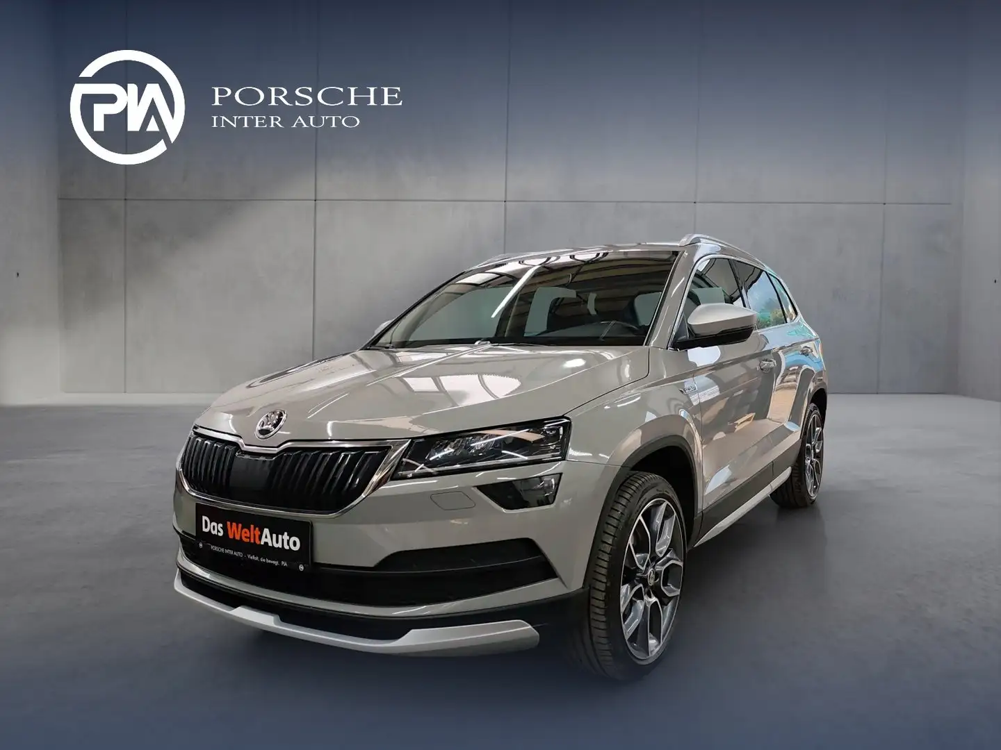 Skoda Karoq 4x4 SCOUT TDI DSG Grau - 1