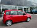 Fiat Panda FireFly Hybrid 70 Rot - thumbnail 3
