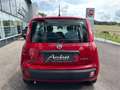 Fiat Panda FireFly Hybrid 70 Rot - thumbnail 4