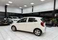 Kia Picanto 1.0 CVVT Eco.PlusL Bianco - thumbnail 10