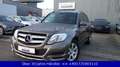 Mercedes-Benz GLK 250 CDI 7G-TRONIC BlueTec 4Matic*EURO6*SPORT Grau - thumbnail 1