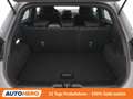 Ford Puma 1.0 EcoBoost Mild-Hybrid ST-Line Grau - thumbnail 17