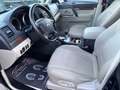 Mitsubishi Pajero Wagon Instyle 3,2 DI-D TD Autom. Allrad 200PS Grün - thumbnail 14