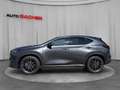 Lexus NX 350h E-Four Luxury Line Aut. Grau - thumbnail 3